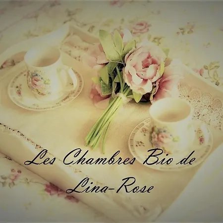 Les Chambres Bio De Lina Rose * סרלה-לה קנדה