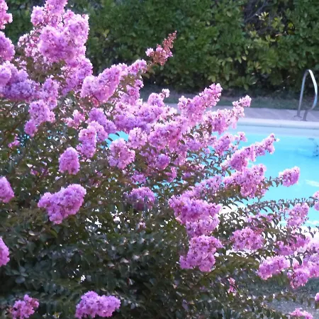 לינה וארוחת בוקר Les Chambres Bio De Lina Rose סרלה-לה קנדה